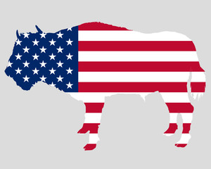 USA Fahne mit Bison
