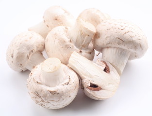 Handful of champignons on a white background
