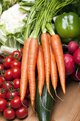 Set of different vegetables