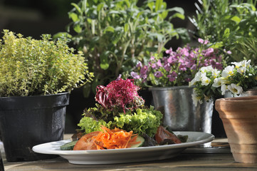 Frischer Salat - Essen