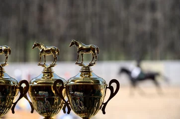 Foto auf Acrylglas Reiten Gold winner cup for equestrian sport