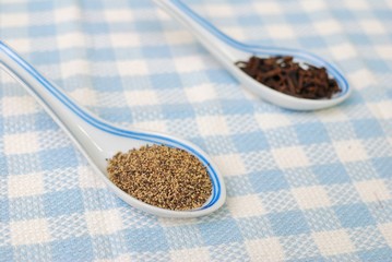 Spices and seasoning as food ingredients
