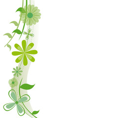 Vecteur d'une plante grimpante avec fleurs vertes sur fond blanc