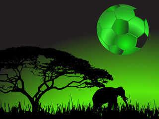 Fußball