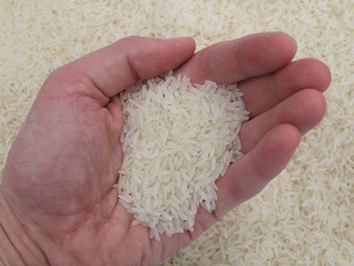 Handful of rice