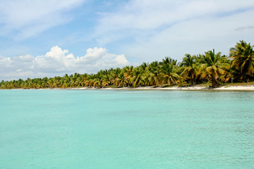Palmenstrand in der Karibik