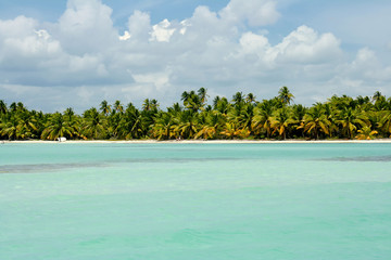 Palmenstrand in der Karibik