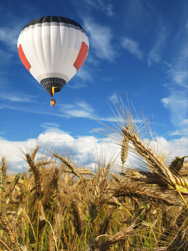 Balloon over golden wheat