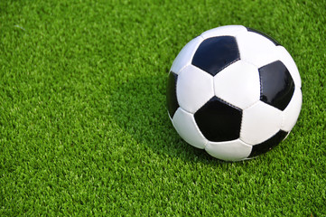 Fototapeta premium Soccer ball on the field