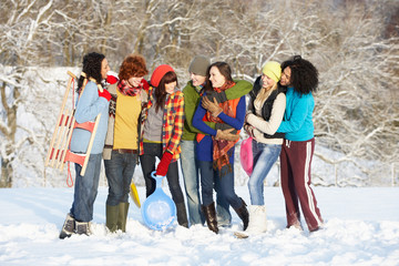 Group Of Teenage Friends Having Fun In Snowy Landscape