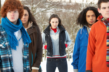 Group Of Teenage Friends Having Fun In Snowy Landscape Wearing S