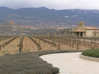 VIÑAS