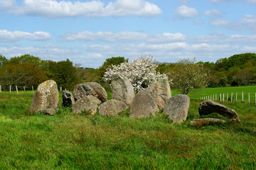 druides