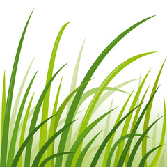 Hautes herbes lumineuses, vecteur