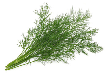 Dill