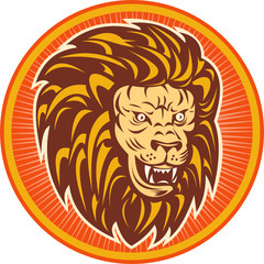 Angry lion head