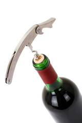 wine bottle isolated on a white background