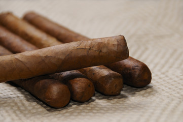 Cuban cigars