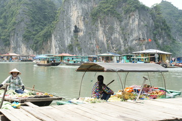 Ha long Bay in Vietnam