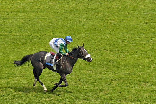 Course &agrave; l'hippodrome