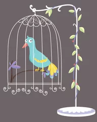 Crédence de cuisine en verre imprimé Oiseaux en cages oiseau en cage