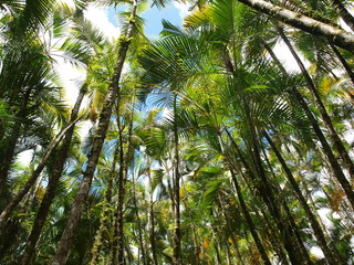 M&eacute;li M&eacute;lo