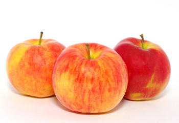 apples on the white