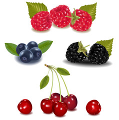 Photo-realistic vector illustration. Group of berries.