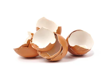 Zelfklevend Fotobehang Eggshells © Andrzej Tokarski