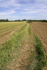 Fototapeta na wymiar gruntów rolnych