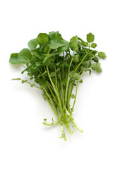 Watercress