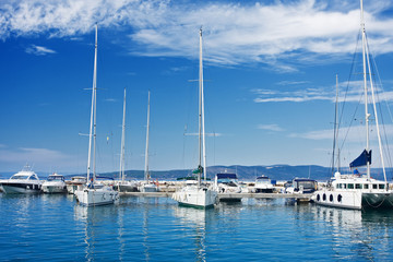 Obraz premium white yachts lined up at the marina