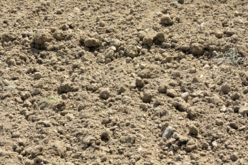 sol agricole