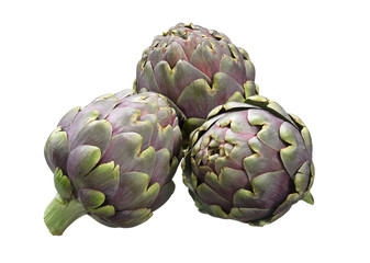 Fototapeta premium Artischocken