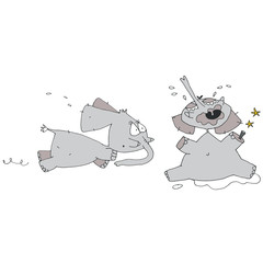 Deux éléphants gris