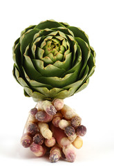 Obraz premium asperges et artichaut
