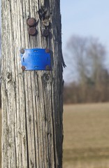 France: poteau téléphonique en bois