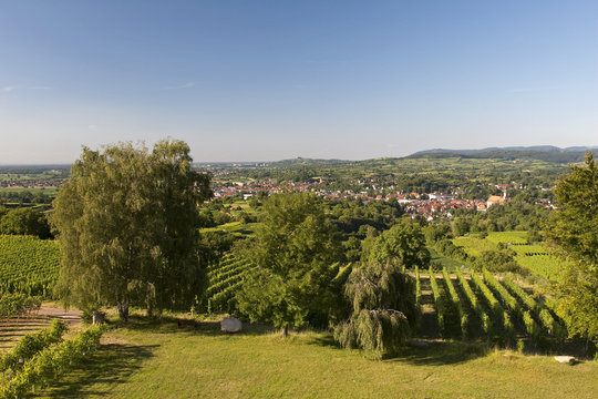 Weinberg IV