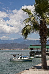 Port w Fethiye, Turcja © marsyk