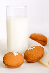 Fresh glass of milk with cookies