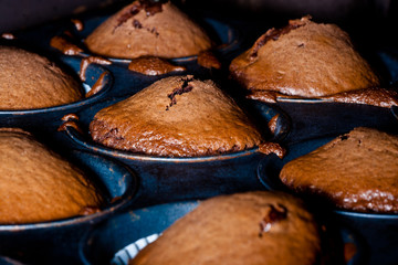 Chocolate chip muffins