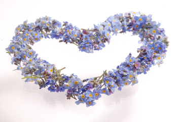 Vergissmeinnicht Herz