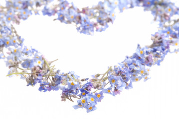 Vergissmeinnicht Herz