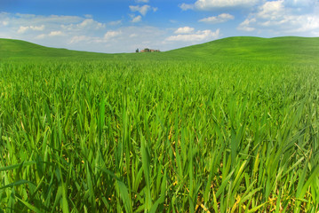 Toscana: agricoltura biologica