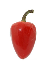 Red hot chili pepper