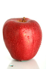 Red apple