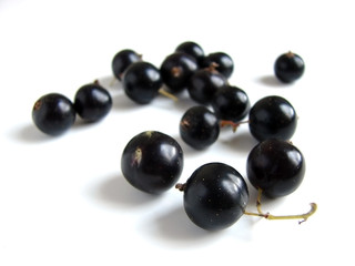 black currant
