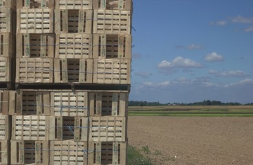maraichage en Ile de France