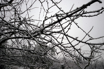 Winter landscape in Viseu