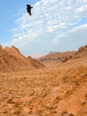 Fototapeta premium Rocky desert